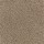 Horizon Carpet: Natural Splendor II Urban Taupe